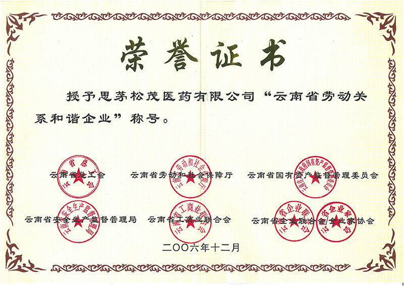 2006—云南省劳动关系和谐企业