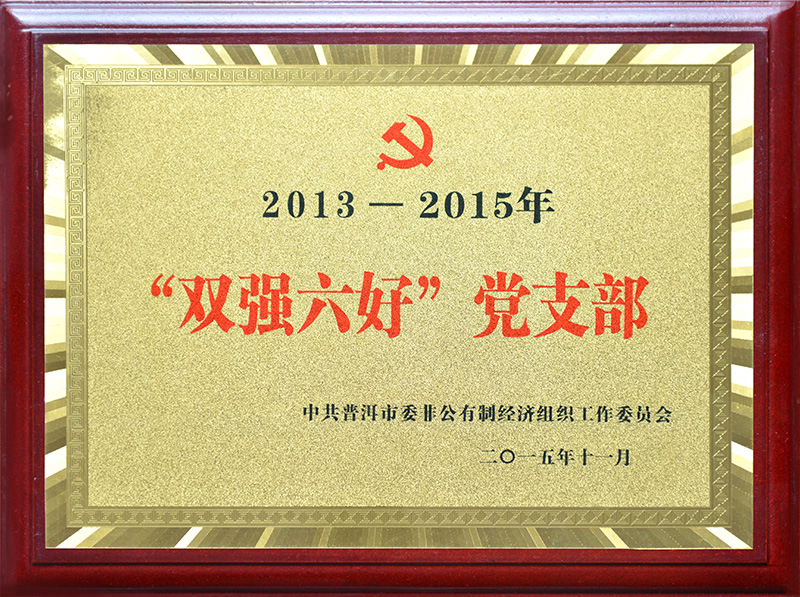 2015年—“双强六好”党支部