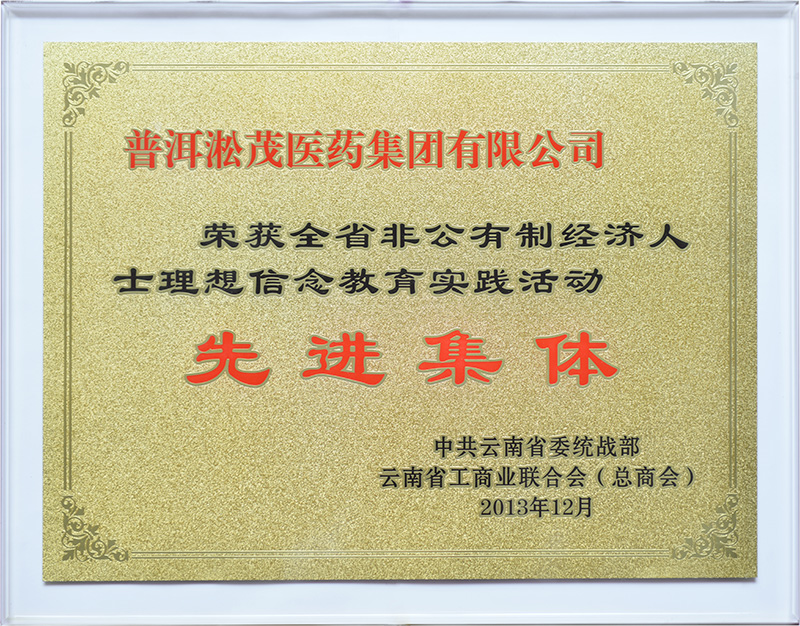 2013年—云南省非公有制经济人士理想信念教育实践活动 先进集体