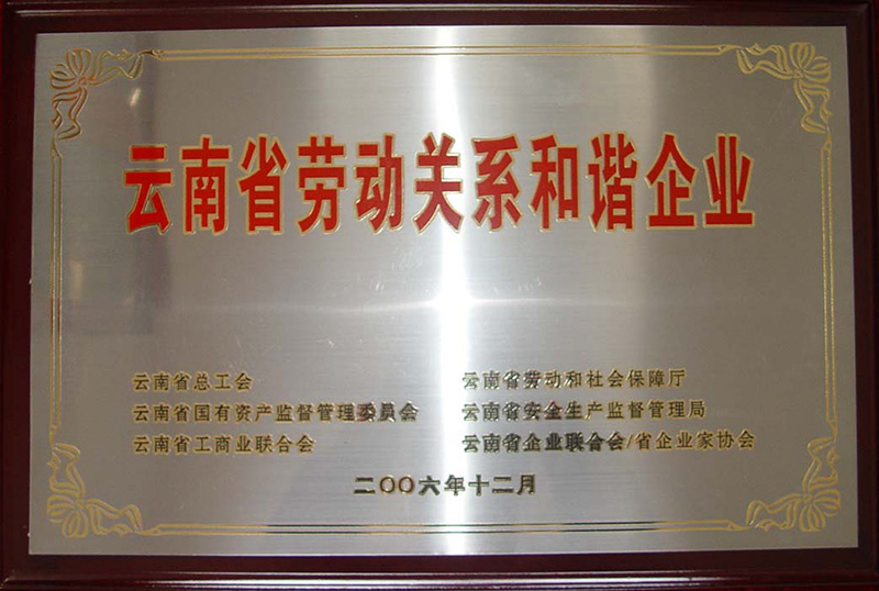 2006年—云南省劳动关系和谐企业